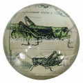 retro crystal ball with home decoration or souvenirs